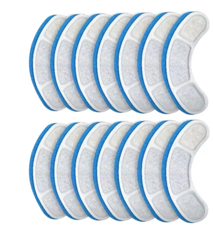 Filtros fuente de gatos Luna x 12